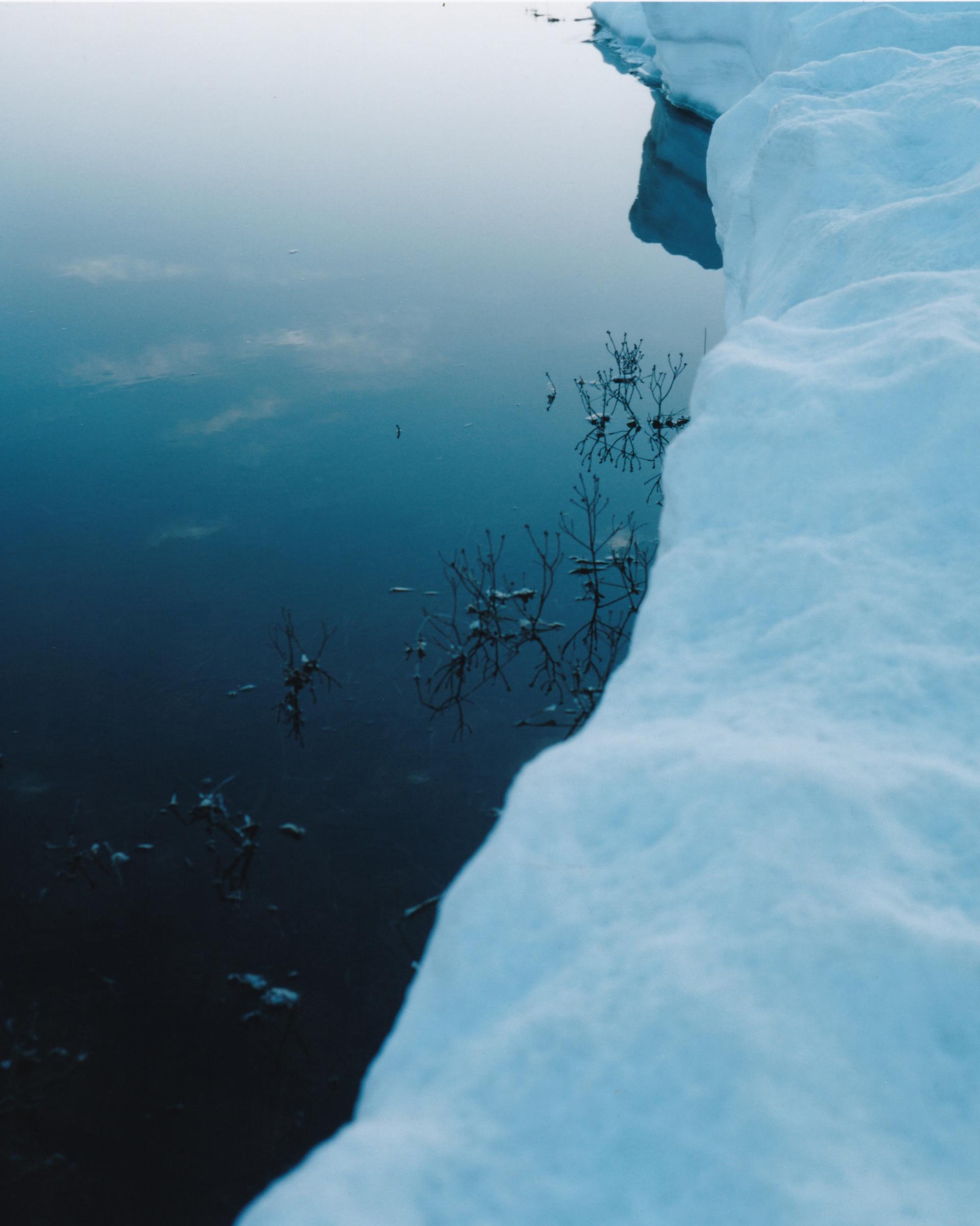 日本有数の高層湿原・尾瀬ヶ原で見つけた、雪解けの水辺に咲くミズバショウ。｜4月の山・尾瀬ヶ原
